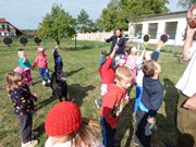 Sorbon - pes fotbalista